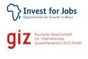 client-Invest for Jobs giz